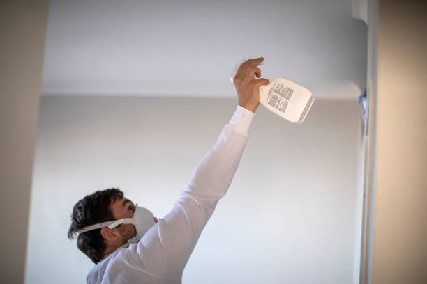 Best Same-Day Mold Removal  in Wade Hampton, SC